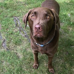 Meet your Posher, Tonya